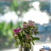 Отель Dali Digging Color Love Travel Diary Homestay, фото 13