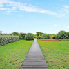 Отель New Listing! the Nut House W/ Oceanfront Porch Home, фото 22