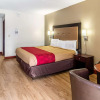 Отель Econo Lodge Cadillac, фото 5