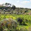 Отель Belvilla by OYO Casa del Limoneto Noto Marina, фото 20
