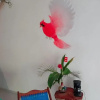 Отель posada ixchel, фото 11