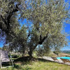 Отель Historic Farmhouse With Private spa in Senigallia few Minutes From the Beach 4p, фото 5
