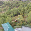 Отель Kaithal Resort - Kasauli, фото 44