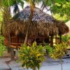 Отель St. George's Caye Resort, фото 14