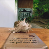 Отель Pun Corner Homestay, фото 1