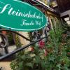 Отель Steinschalerhof, фото 1
