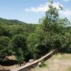 Отель Agriturismo Bio I Rondinelli, фото 13