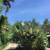 Отель White Orchid Eco Resort, фото 24