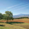 Отель Awesome Home in Sarteano -si- With Wifi and 6 Bedrooms, фото 20