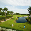 Отель Bungalows at The Boca Raton, фото 39