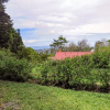 Отель Rancho Amalia, фото 20