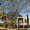 Отель I love phants Lodge, фото 29