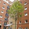 Отель LSE High Holborn - Campus Accommodation в Лондоне