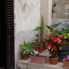 Отель CasaVacanza Italo, фото 4