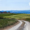 Отель Agriturismo Spereta, фото 16
