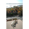 Отель Guesthouse Farmor - Vacation STAY 15083v, фото 8