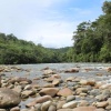 Отель Kuyana Amazon Lodge, фото 21