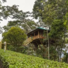 Отель Treehouse with Wi-Fi in Munnar, by GuestHouser 10760, фото 12