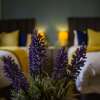 Отель Broad Gauge Suite, фото 8