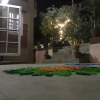 Отель Hidden Leaf Bed and Breakfast, фото 1
