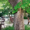 Отель Hôtel Le Céans, фото 17