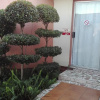 Отель Joezebel Guest House, фото 16