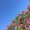 Отель Il Fortino, фото 17