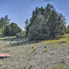 Отель Lazy Beaver Lodge Pagosa Cabin w/ Deck, Fire Pit, фото 27