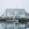 Отель Live Lofoten Hotel, фото 19