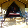 Отель Thorn Tree Bush Camp, фото 6