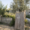 Отель Kekliktepe Bag Evi, фото 11