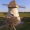 Отель Araisi Windmill unique blend of history and nature, фото 12