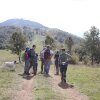 Отель Bio Agriturismo La Cerqua, фото 2