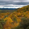 Отель Alberg Rural Ruta del Ferro, фото 27