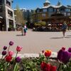 Отель Whistler Town Plaza, фото 25