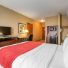 Отель Comfort Inn & Suites, фото 3