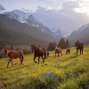 Отель The Wild Game Inn, фото 39