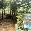 Отель Si Nian Green Villa with courtyard, фото 3