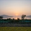 Отель Nonsan Lake and Sunset Pension, фото 28