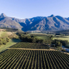 Отель Wildebraam Berry Estate, фото 26