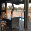 Отель Nyumbani Estate Bush Lodge, фото 24