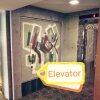 Отель Athene Motel, фото 4