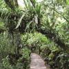 Отель Sanctuary Lodge, A Belmond Hotel, Machu Picchu, фото 8