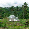 Отель Romantic Bubble Dome Ubud, фото 2