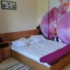 Отель Kwatera prywatna Hanna, фото 1