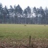 Отель Serene Holiday Home in Baarn With Private Garden, фото 3