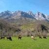 Отель Cumbres Valdeón, фото 18