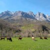 Отель Cumbres Valdeón, фото 29