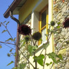 Отель B&B Il Girasole, фото 9
