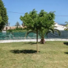 Отель Residence Aubanel - INH 32075, фото 6